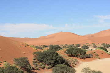 Trip durch Sossusvlei - Namibia