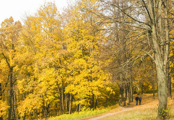 Fototapeta na wymiar Walk in the autumn park