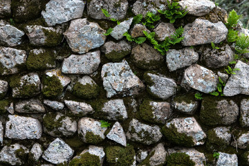 texture of natural stone and moss