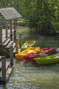 Canoes at lake pier, adventure lifestyle concept.