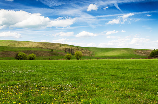 green field and blue sky