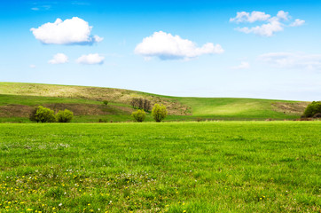 green field and blue sky