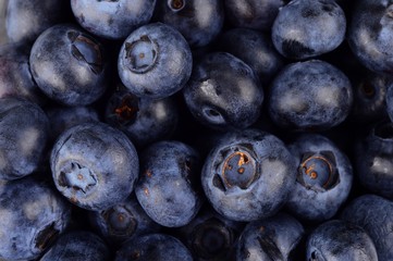 Macro closeup view group fresh blueberries background