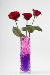 Beautiful flowers in vases with hydrogel 