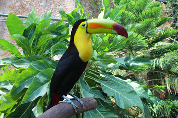 Zoo de Paris Vincennes