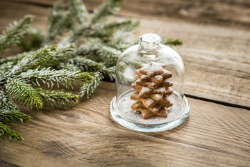 Obraz na płótnie Canvas Homemade sweet Christmas tree under the glass dome