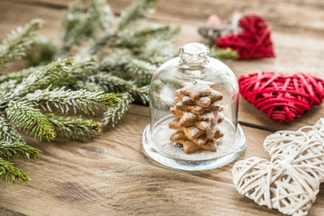 Homemade sweet Christmas tree under the glass dome
