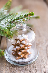 Obraz na płótnie Canvas Homemade sweet Christmas tree under the glass dome