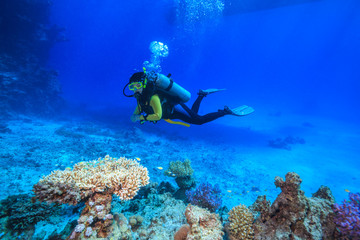 Naklejka na ściany i meble diver in the Red Sea