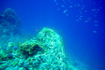 Underwater
