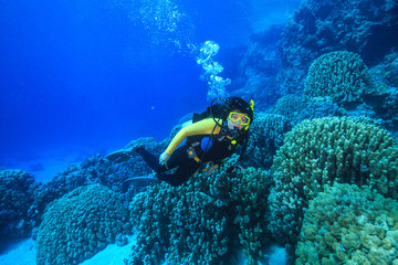 Diver in the Red Sea, Egypt