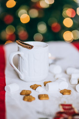 Hot cocoa with cinnamon stick, marshmallows and cookies 
