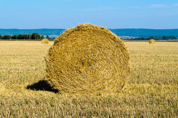 Twisted hay on the field in summer