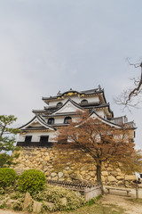 Naklejka premium 春の彦根城の天守