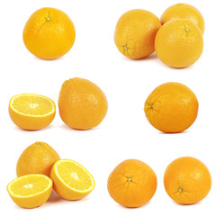 orange isolated on white background