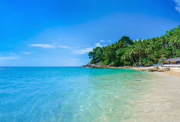 Fototapeta na wymiar Quiet paradise beach with azure water and palm tree
