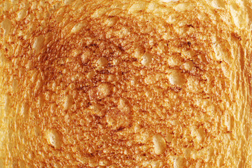 Background toast bread