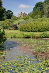 Fototapeta premium jardin anglais