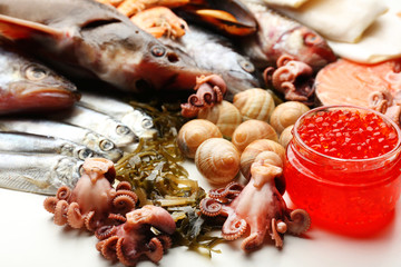 Fresh catch of fish and other seafood close-up