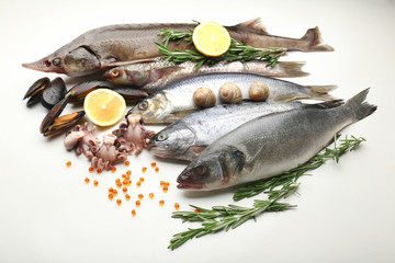 Fresh catch of fish and other seafood isolated on white