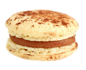 Gentle colorful macaroon isolated on white