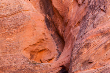 Canyon X Wall Swirl