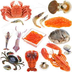 Collection of seafood