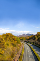 Fototapeta premium 秋の風景