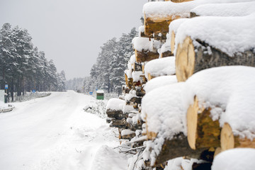 Куча брёвен на обочине дороги подготовлена для транспортирования © tsuraleks