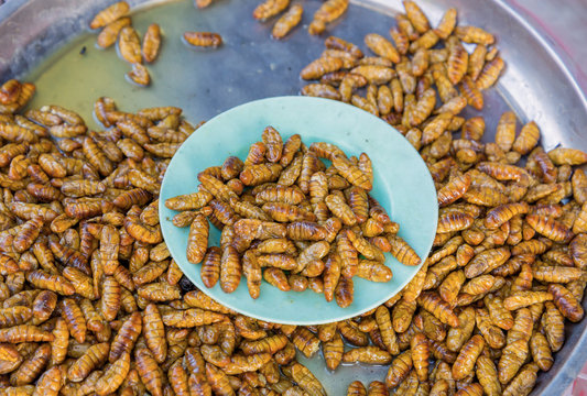 Fried silk worm is the food of the natives