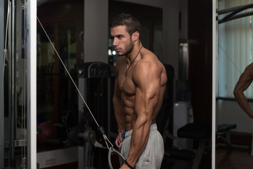 Fototapeta na wymiar Man Doing Exercise For Triceps