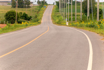 Country road with trees