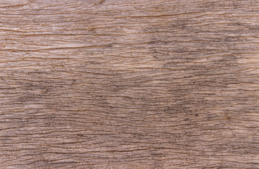 Naklejka premium Wooden texture for background