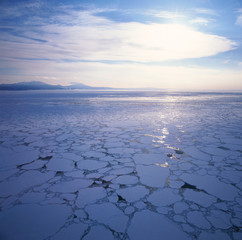 知床沖の流氷 © kn_setouchi