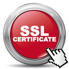 SSL CERTIFICATE ICON