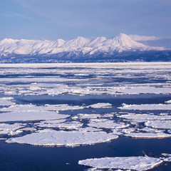 流氷と知床連山 © kn_setouchi