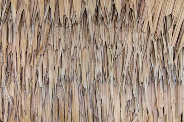 Thatch roof background, hay or dry grass background
