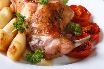 Rabbit leg roasted with apples and tomatoes on a plate macro