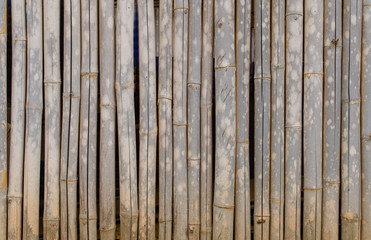 old bamboo fence for background