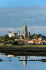 Obraz premium Noirmoutier-en-l'Île - marais
