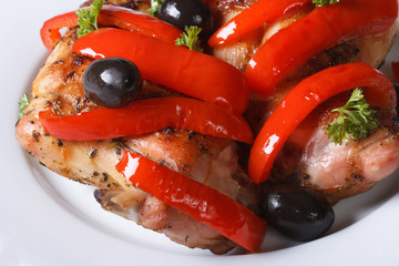 Fried rabbit meat with peppers and olives horizontal