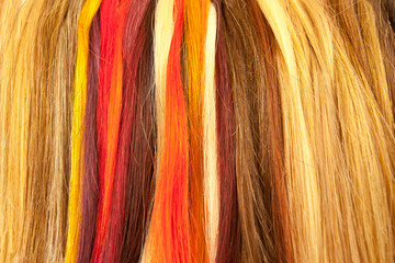 Naklejka premium mèches de cheveux, nuancier coiffure