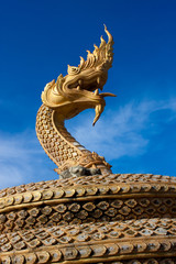 Fototapeta na wymiar Golden Naga snake in Thailand