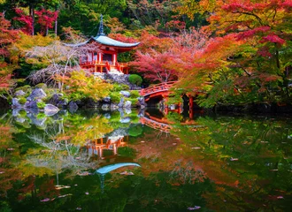 Schilderijen op glas Daigoji-tempel in de herfst, Kyoto, Japan © lkunl