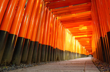 Torii gates in Fushimi Inari Shrine, Kyoto, Japan