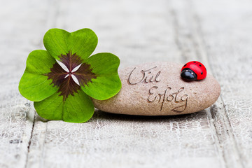 Klee, Marienkäfer und Stein auf Holz, Viel Erfolg