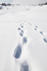 Footsteps on the snow