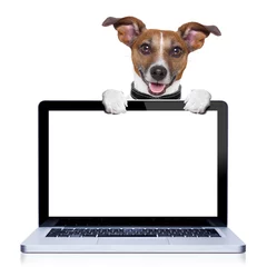 Foto auf Acrylglas Lustiger Hund Computerhund