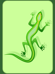 Image of green lizard with a pearl back