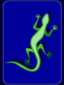 Image of green lizard with a pearl back
